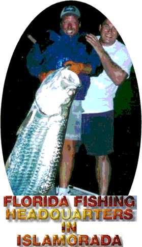 Florida Keys Fishing - Capt. Steve Murray Florida Keys Fun Fishing with  Capt. Steve Murray - Backcountry & Flats Fishing - Florida Keys Fishing,  Islamorada Fishing with Capt. Steve Murray - Backcountry